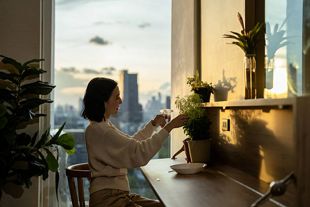 Person starting a morning routine with natural light